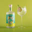 Monark Distillery Signature Dry Gin, 750ml with a cocktail glass