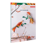 Studio ROOF Paradise Bird Obi Wall Decoration packaging 