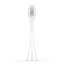 Ordo Sonic Brush Heads, Pack of 2 - White angle