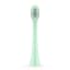 Ordo Sonic Brush Heads, Pack of 2 - Mint Green angle