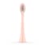 Ordo Sonic Brush Head, Pack of 2 - Rose Gold showing the product at an angle
