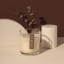 Nude Home Fragrances Cabin Fever Wood Wick Candle, 300ml on counter with decor