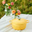 Le Creuset Chamomile Signature 4.2 Litre Round Cocotte, 24cm on the table