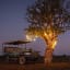 Litehouse Traditional Solar LED Festoon Outdoor Bulb String Lights, 10m around a tree