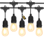 Litehouse Traditional Plug-In LED Festoon Outdoor Bulb String Lights, 15m