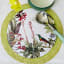 Simply Placemats Botanical Bird Paper Place Mat, Pack of 24 on the table