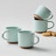 Salisbury & Co Terra Mug, Set of 4 - Sage with biscuits