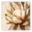 Hertex HAUS Rustic Beauty Wall Art, 100cm x 100cm