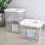 Trendz Of Today Large Airtight Food Storage Container - 9L on the table