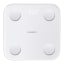 Xiaomi S400 Body Composition Scale angle