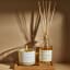 Amanda Jayne Wild Orchard Glass Collection Candle, 310ml with a diffuser