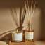 Amanda Jayne Wild Orchard Reed Diffuser, 170ml with a candle