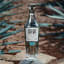Sango Blanco African Agave, 750ml on a rock