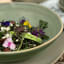 Nova Craft Earth Sage Coupe Bowl - 25cm with salad