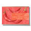 Sow Delicious Start-A-Garden Chilli Sauce Gift Box packaging