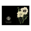 Hendrik Willem Black Collection Cards, Set of 10 detail