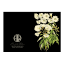 Hendrik Willem Black Collection Cards, Set of 10 detail