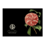 Hendrik Willem Black Collection Cards, Set of 10 detail