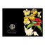 Hendrik Willem Black Collection Cards, Set of 10 detail