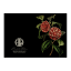 Hendrik Willem Black Collection Cards, Set of 10 detail