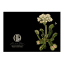 Hendrik Willem Black Collection Cards, Set of 10 detail