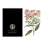 Hendrik Willem Natural Collection Cards, Set of 10 detail