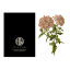 Hendrik Willem Natural Collection Cards, Set of 10 detail