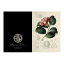 Hendrik Willem Natural Collection Cards, Set of 10 detail