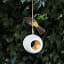 Bird Feeders By Steff Ceramic Bird Feeder - Golden Wheat in tree with bird