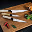 Bunmei Cooks Knife, 20cm with other knives