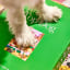 Piecework Puzzles Top Dog 1000-Piece Puzzle on the table