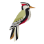 Studio ROOF Woodpecker Wall Art
