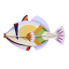 Studio ROOF Picasso Fish Wall Art