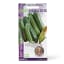 Linda's Seeds Romanesco Baby Marrow Seeds
