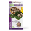 Linda's Seeds Moringa Seeds