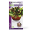 Linda's Seeds Mixed Variety Lettuce Seeds