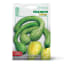 Franchi Sementi Seeds Tromba D'Albenga Squash Seeds, 2.5g