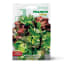 Franchi Sementi Seeds Mixed Varieties Lettuce Seeds, 8g
