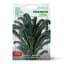 Franchi Sementi Seeds Cavolo Laciniato Curly Kale Seeds, 6g
