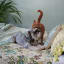 India Ink Green Aqua Floral Garden Kantha Stitched Throw - Double on the bed