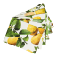 DSA Polyteq Lemon Placemats, Set of 6