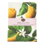 DSA Cotton Lemon Tablecloth - 6-Seater packaging