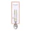 Laura Ashley Stainless Steel Ice Cream Spoon with Ceramic Handle - Sage Parterre packaging