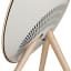 Bang & Olufsen Beosound A9 5th Gen Bluetooth Speaker - Gold Tone detail