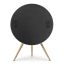 Bang & Olufsen Beosound A9 5th Gen Bluetooth Speaker - Black Anthracite angle