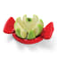 Dreamfarm Apple Slicer detail