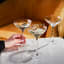 Chef & Sommelier Symetrie Champagne Coupe Glasses, Set of 6 on the table