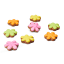 Harck & Heart Blooms Rainbow Gingerbread Biscuits, 123g out of packaging