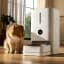 Xiaomi Smart Pet Food Feeder 2 next to a cat