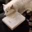 Printworks A Dogs Life Blank Photo Album with a dog